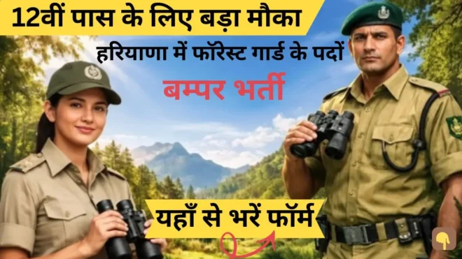 HSSC Forest Guard Vacancy