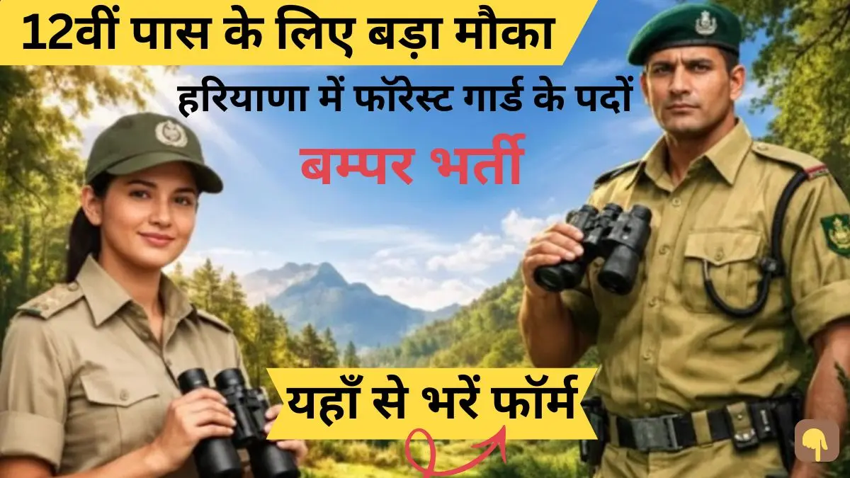 HSSC Forest Guard Vacancy